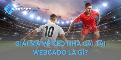 Giải mã thông tin về kèo nhà cái Webcado