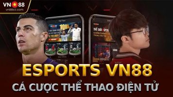 Kết Hợp Giữa Soi Cầu Và Cá Cược Tại VN88